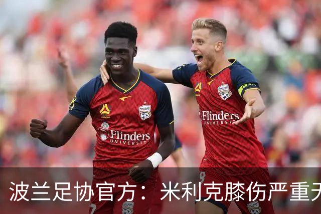 波兰足协官方：米利克膝伤严重无缘欧洲杯